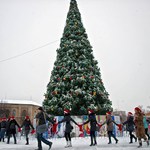 Город: Новогоднюю елку в Житомире решили установить на неделю раньше