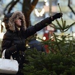 Світ: Купить ёлку в Житомире можно по цене от 30 до 200 гривен