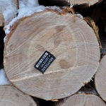 В Житомирских лесохозяйствах вводят систему маркировки древесины. ФОТО