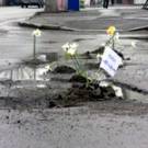  В Житомире под <b>Автодором</b> высадили цветы в дорожные ямы. ФОТО 