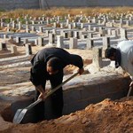 Коммунальное предприятие копало могилы в Житомире по завышенным ценам
