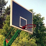 Город: Власти Житомира пообещали построить баскетбольную площадку в Гидропарке