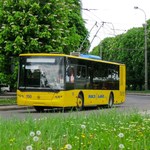 Экономика: Суд обязал киевскую компанию поставить Житомиру ЛАЗ троллейбусы