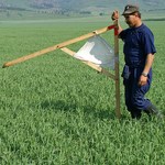 Экономика: Регистрацию землельного участка в Житомире сократили до 14 дней - Госзем