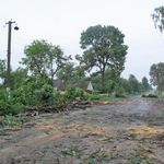 Непогода на Житомирщине: погиб один человек, оборванные электросети, повреждены крыши домов. ФОТО