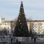 В Житомире главная елка города уже готова к праздникам. ФОТО
