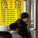 Экономика: В Житомире активно скупают доллары, реагируя на курсовые колебания