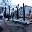  На бульваре в Житомире порезали <b>деревья</b> и бросили их у дороги. ФОТО 