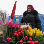 Экономика: Обзор цен на цветы в Житомире в преддверии 8 Марта. ФОТО