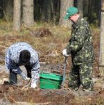 В Житомирской области появился пятый журналистский лес. ФОТО. ВИДЕО