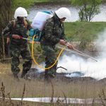 Происшествия: На Житомирщине лесники со спасателями тренировались тушить лесной пожар. ВИДЕО