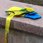 Город: В Житомире коммунисты сорвали и разорвали украинский флаг