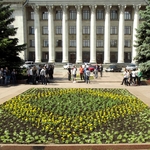 Город: Банкиры обогатили Житомир на 5000 цветов. ФОТО