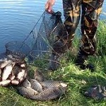 Житомирские пограничники задержали браконьеров с незаконно выловленной рыбой