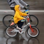 Спорт: Велодень в Житомире прошел в патриотическом стиле. ФОТО