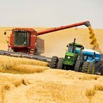 Экономика: В Житомирской области продолжается сбор урожая