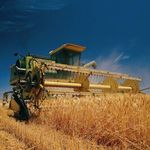 Экономика: Житомирская область продолжает собирать урожай