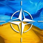 Политика: Житомиряне проголосовали за проведение референдума о вступлении Украины в НАТО. ФОТО