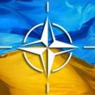 Житомиряне проголосовали за проведение референдума о вступлении Украины в НАТО. ФОТО