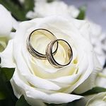 Житомирянам предложили новую услугу - электронная запись на бракосочетание