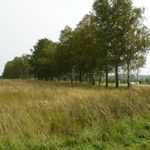 Общество: Участникам АТО в Житомирской области выделили 70 га земли