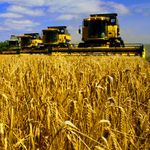 Экономика: Инвестиции в сельское хозяйство Житомирской области выросли в 2,3 раза