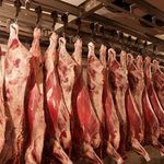 В Житомирской области падает объём производства мяса