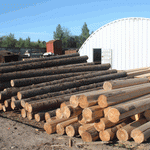 Криминал: СБУ на Житомирщине «накрыла» компанию, которая незаконно вывозила лесопродукцию