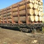 Город: Житомир отправит в Херсонскую область 10 вагонов дров