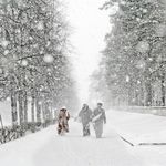 Город: В Житомире и области ожидается ухудшение погодных условий