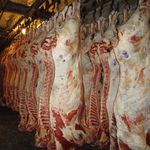 Экономика: Россельхознадзор снова не пустил в Крым житомирскую говядину