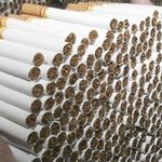 Экономика: ​В Житомире разоблачили фирму россиян, которая незаконно торговала сигаретами