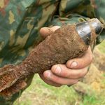Происшествия: В житомирском парке Гагарина нашли мину времен Второй мировой войны