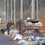 Город: Коммунальщики штрафуют житомирян за несанкционированный выброс мусора. ФОТО