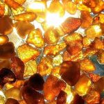 Криминал: Суд прекратил незаконную добычу янтаря на 167 га земли в Житомирской области