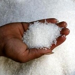 Сахарные заводы Житомирской области намерены увеличить производство