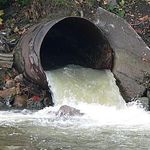 Город: Житомирводоканал сбросил в Каменку неочищенные сточные воды. ФОТО