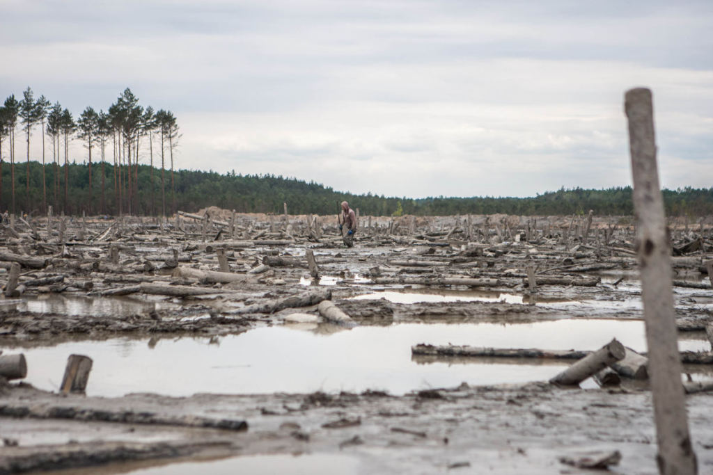 Родной край: Председатель Гослесагентства проверил, насколько уничтожен лес на Житомирщине