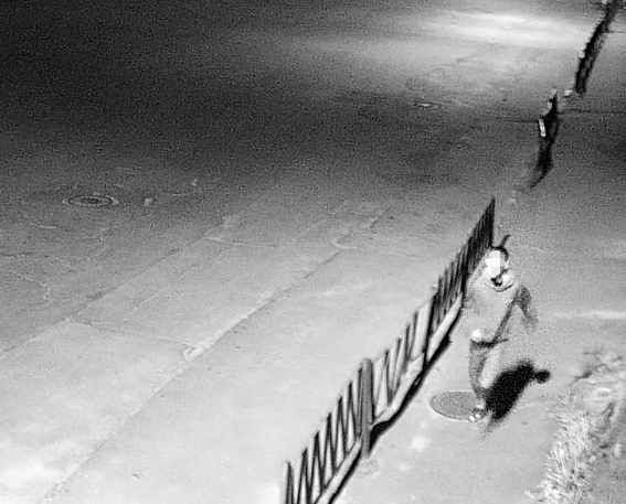 Криминал: Благодаря камерам видеонаблюдения на Житомирщине задержали грабителей