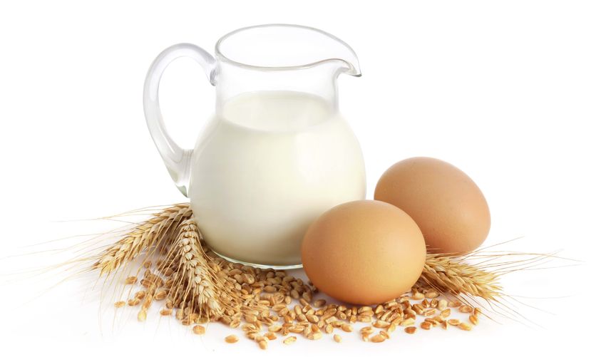 Экономика: За полгода в Житомирской области произвели 290 тыс. тонн молока и более 300 млн яиц