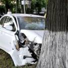 В Житомире Citroen врезался в дерево, пытаясь избежать столкновения с другим авто. ФОТО