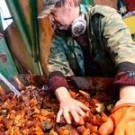 СБУ изъяла 40 кг незаконно добытого янтаря у перекупщиков в Житомирской области. ФОТО