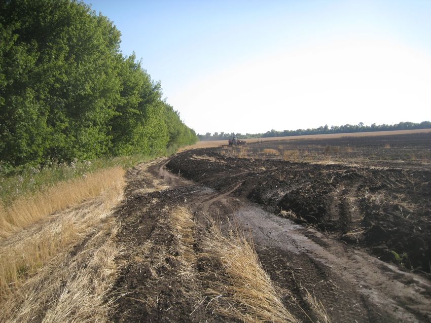 Происшествия: На Житомирщине горело 80 га пшеницы: владельцы подозревают поджог. ФОТО