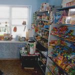 В Житомирской области задержали 17-летних парней, которые ради забавы обокрали магазины