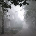 Почему улицы Житомира снова в дыму