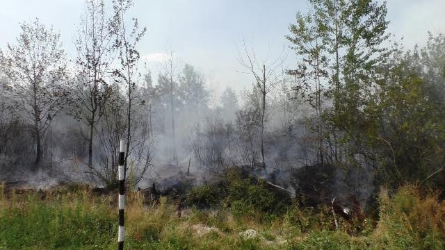 Происшествия: В Житомире спасатели предотвратили пожар на Корбутовском кладбище. ФОТО