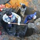 Житомирская милиция задержала нелегальных добытчиков янтаря из Ровенской области