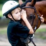 В Житомире состоится благотворительный фестиваль «Праздник украинского коня»