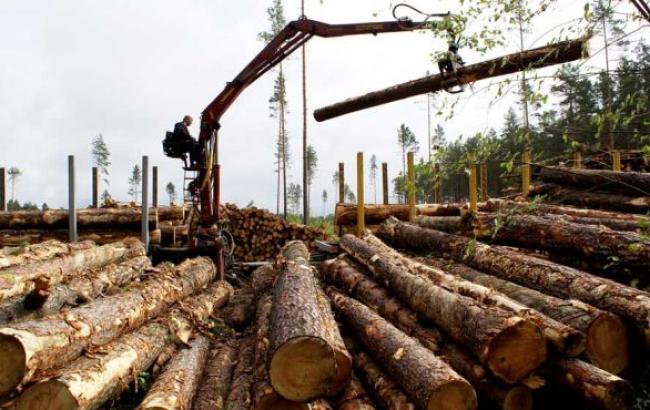 Экономика: Житомирская область больше всего импортирует нефть, а экспортирует лес и продукты