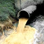 Происшествия: Маслозавод на Житомирщине загрязнил земли, чем причинил ущерб на 1,1 млн гривен